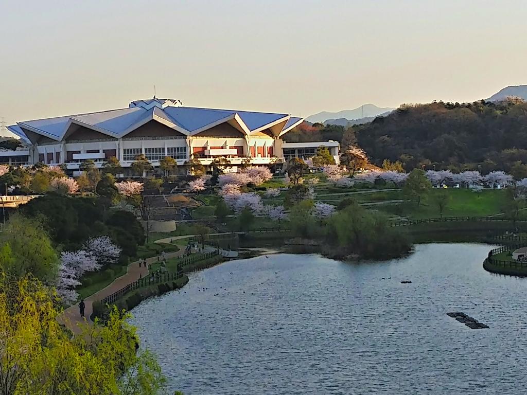 中央公園(金比羅池）の風景