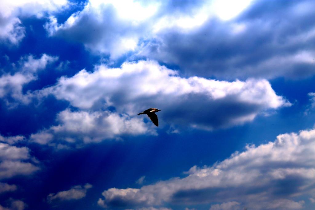 洞海湾の空