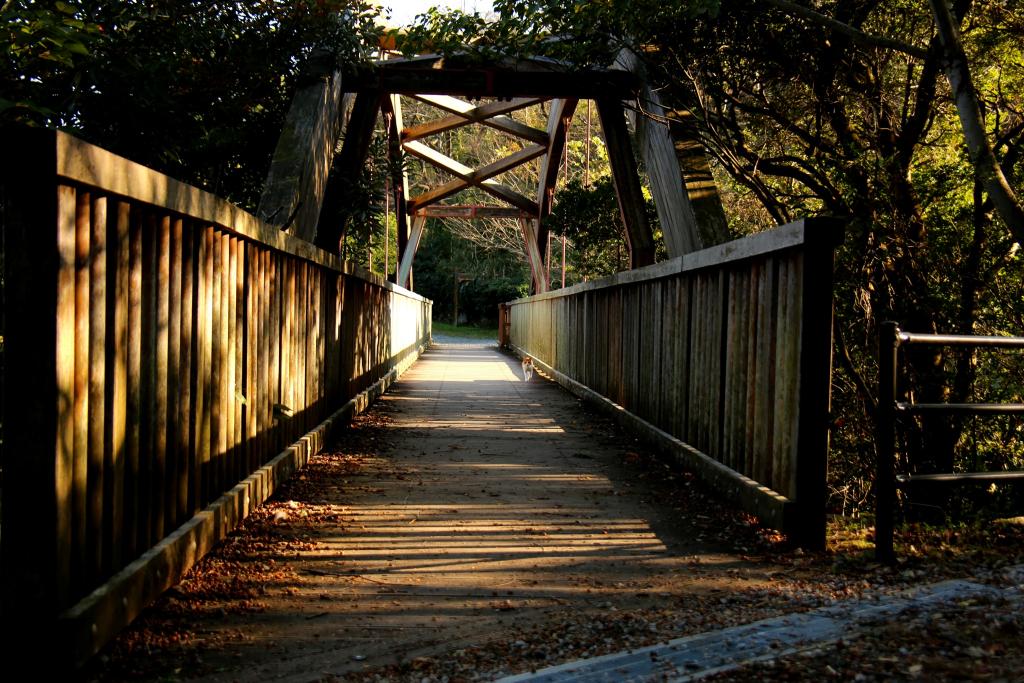 木の橋