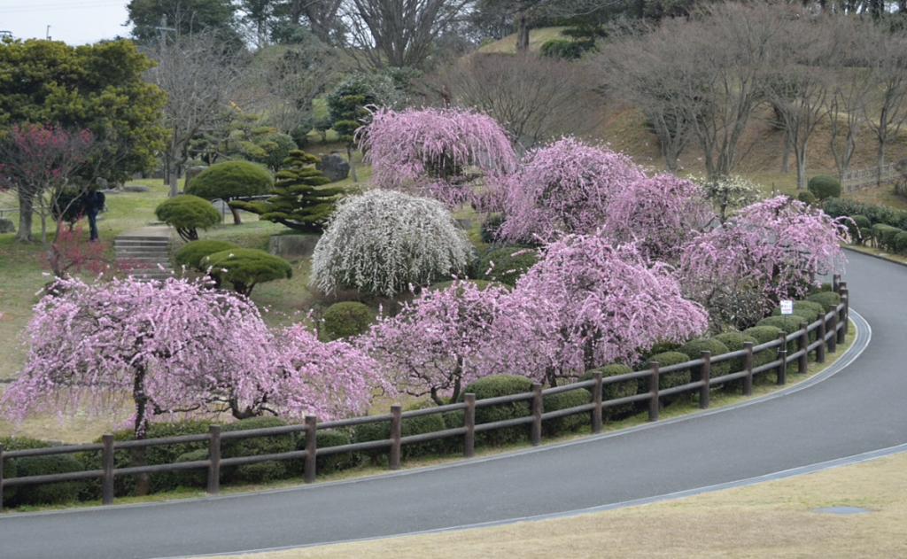 農事センター