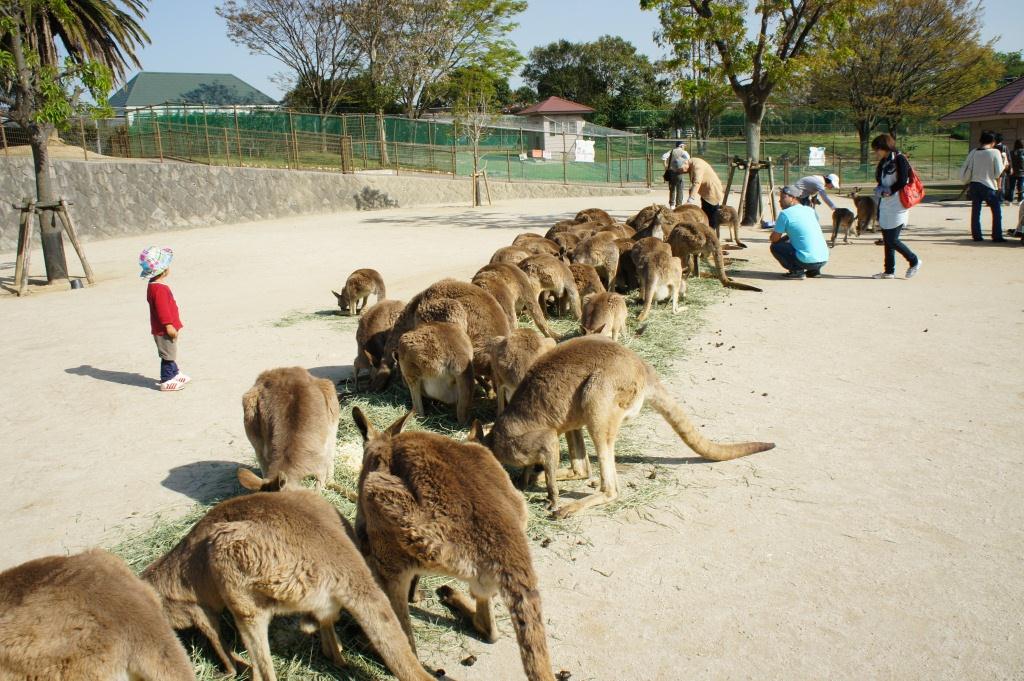 緑の公園 グリーンパーク 常設展示室 北九州市 時と風の博物館