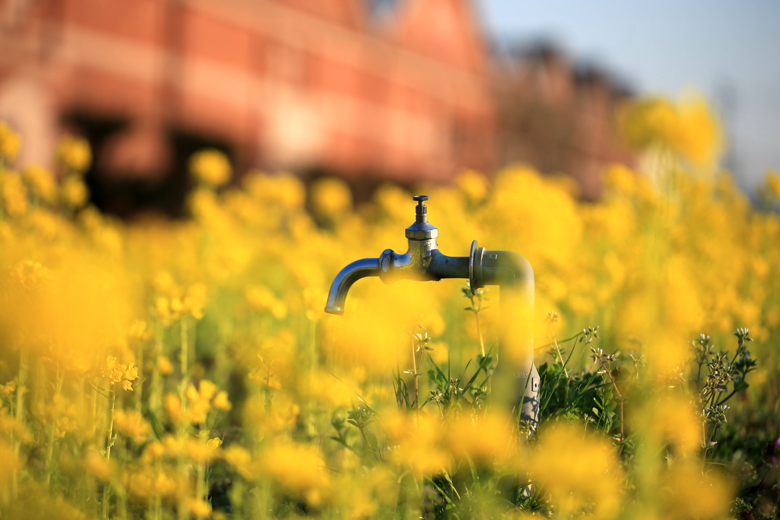 赤レンガ倉庫と菜の花|常設展示室|北九州市 時と風の博物館