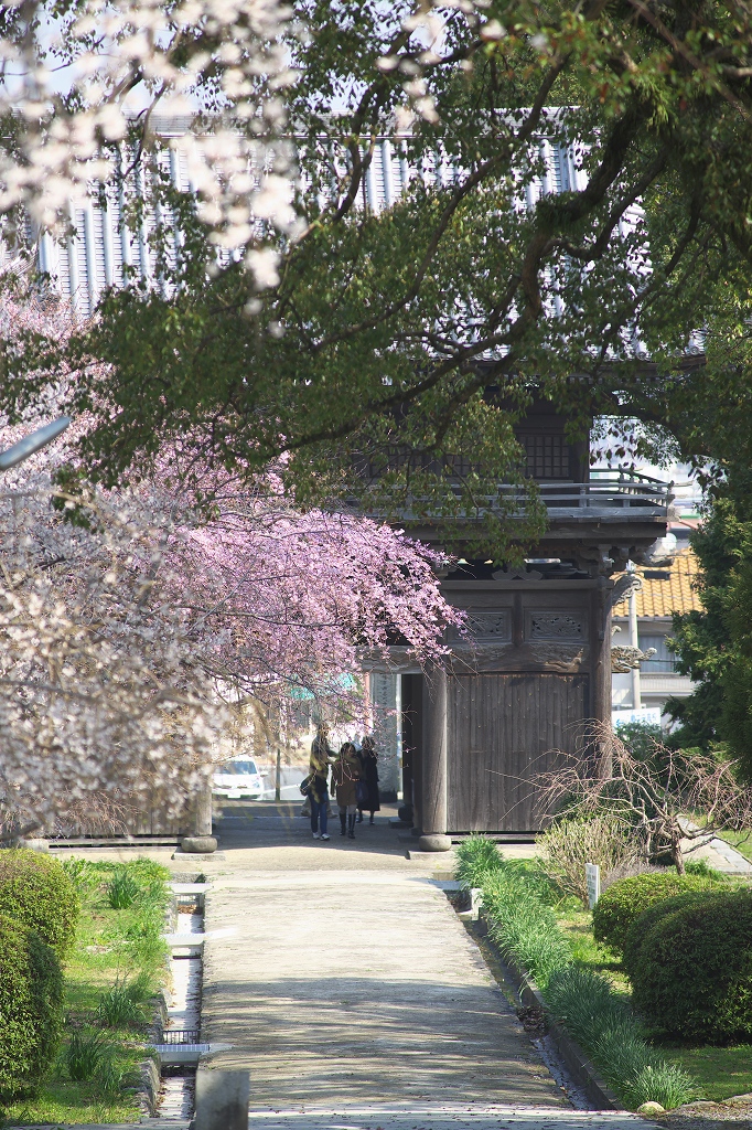 龍潜寺（りゅうせんじ） 常設展示室北九州市 時と風の博物館
