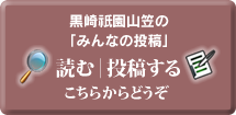黒崎祇園山笠ページへ